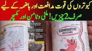 Kabootar Ka Hajme Ke liye Carminative Mixture & Multivitamin 💯  Warking