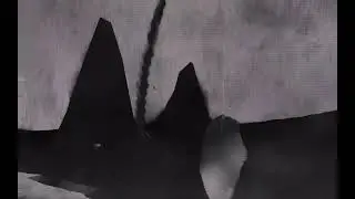 Polyfauna