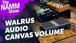 Walrus Audio Canvas Volume | First Look + Sound Demo | NAMM 2026