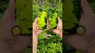 Realme 15 Pro Vs Realme 14 Pro Plus 2x Camera Details