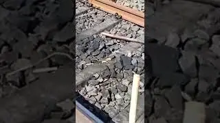 Rail Thermite Welding Live 🔥 | Track Joint Work#shorts