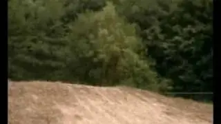 SM Lauf Silixen Training