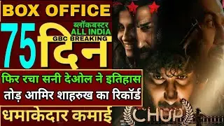 Chup 75th day box office collection,Sunny Deol interview,chup box office Collection,chup hit or flop