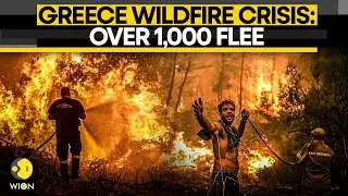 Greece Wildfire LIVE: Thousands Of Tourists Evacuate As Massive Blaze Sweeps Greek Island | WION