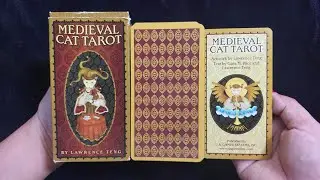 Medieval Cat Tarot