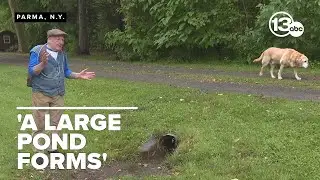 Man demands town fix 30-year flooding problem in his yard