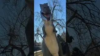 Trex arms