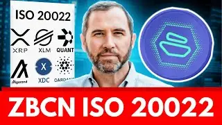 ZBCN: Почему Zebec Network &mdash; ЕДИНСТВЕННЫЙ игрок, который меняет правила игры в соответствии со ст...