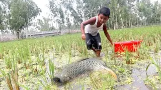 Best Hand Fishing 2022 | Amazing Boy Big Fish Hunting By Hand | Simple Fishing Technique