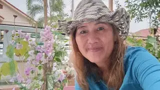 My Tennis Life in America is live! good evening Thailand ❤, สวนตอนเย็น