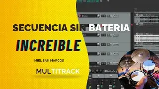 INCREIBLE   MIEL SAN MARCOS   SIN BATERIA