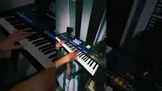 Pipe organ voice on yamaha genos