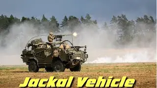 The Jackal vehicle: a tactical vehicle used mainly for light reconnaissance