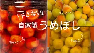【保存版】干さない自家製梅干しの作り方