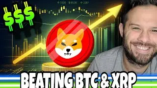 Shiba Inu Coin | SHIB Derivatives Growing Faster Than BTC and XRP!