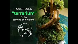 Terrarium Build - Quiet, Calming & Relaxing - ASMR