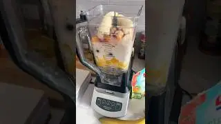 I Blended Insects Into a Protein Shake&hellip;😱🦎 #protein #proteinshake #macros #recipe
