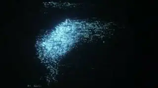 Trauma Bonds - Static Sleep (Lyric Video)