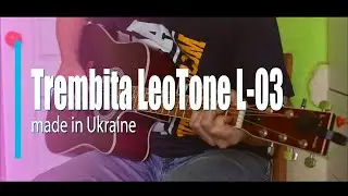 Trembita LeoTone L-03 Acoustic guitar (Акустическая гитара)