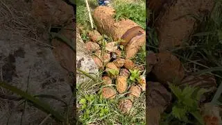 The Somme&rsquo;s Hidden Danger: Unexploded Ordnance from WW1. The enduring legacy of the First World War.