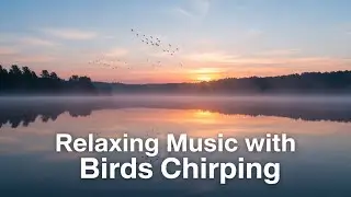 Relaxing Music with Birds Chirping 🕊️ | Beautiful Nature Sounds for Calmness | 3D 4K Cinematic Video