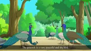 Chapter 4- Peacock- The National Bird of India | Saral Hindi Paathmala