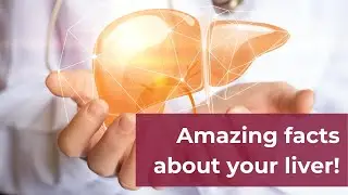 Liver fun facts! | GUTCARE