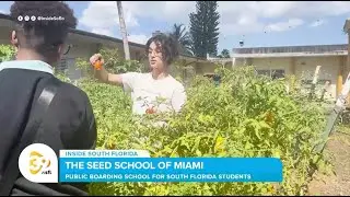 Growing Knowledge at The Seed School of Miami