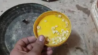 ازاى تحط الثوم للحمام فى الاكل والماء