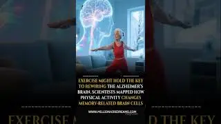 How Exercise Rewires the Brain to Fight Alzheimer&rsquo;s