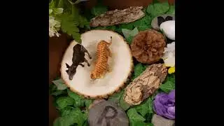 SPRING SENSORY BIN AND TREE ANIMALS