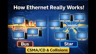 Ethernet Topologies & CSMA/CD Explained | Bus vs Star, Collisions & Switching