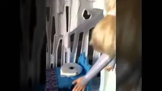 Elsa's bad dream