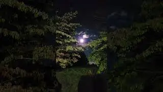 #thefrugallifewithmercedes #moon #moonlight #autumn #fallsky #falltime #clouds #trees #spooky