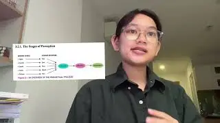 YOU ARE NOT SO SMART 2023 - EPISODE 1: PERCEPTION - LEARNING AND MEMORY