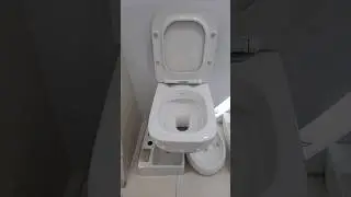 cera carlton rimless wc #youtubeshorts  #bathroomfittings #cera #viralvideo #shortvideo #shorts