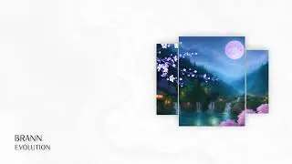 PREMIERE: Brann (AR) - Evolution (Short Edit) | Progressive House 2025