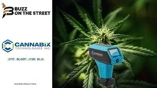 &ldquo;Buzz on the Street&rdquo; Show: Cannabix Technologies (OTC: BLOZF) (CSE: BLO) Breathalyzer Study