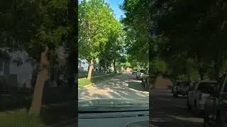 Driving Around Canadian Neighborhood - Beautiful Green Grass and Trees Winnipeg Manitoba #shorts