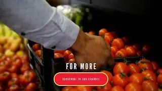 Tomato Production by Country 2021