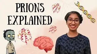 Prions Explained | Breakthrough Junior Challenge 2025