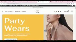 Lesson 10  |  wordpress tutorial for beginners