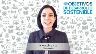 NotiCINU 20 de junio de 2016