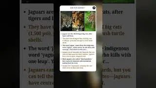 Amazing Jaguar Facts You Didn&rsquo;t Know | #fact #facts #shorts