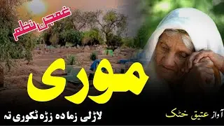 Mor Nazam | Pashto Nazam 2025 | Heart Touching New Nazam 