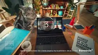 🟣Știrile Digi24  de la ora 14 – 2 februarie 2026
