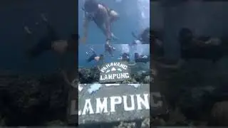 Walking Around Pahawang Lampung