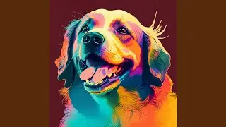 Focused Pet Care