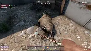 7 days everyday is horde day 1.5 hr days pt3