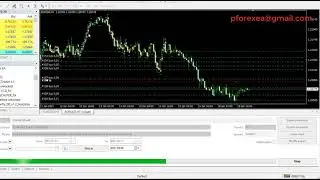 Free Forex EA Robot | Forex Auto Scalper Robot EA | Affordable Detailed Forex Robot
